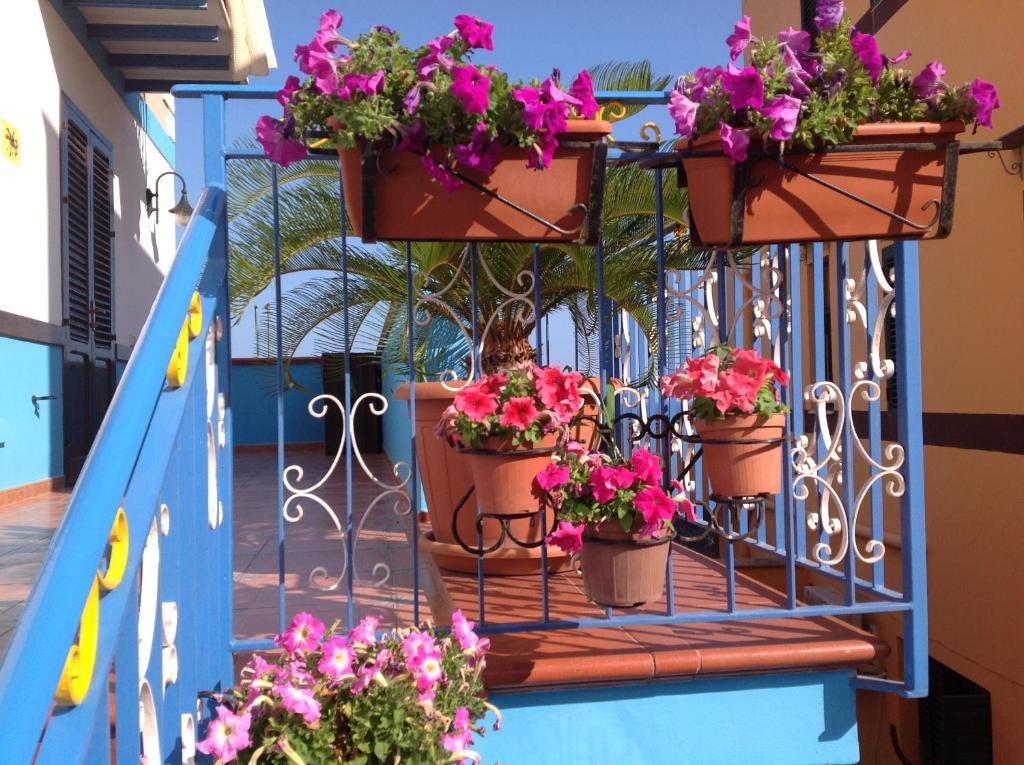 Sogni Nel Blu